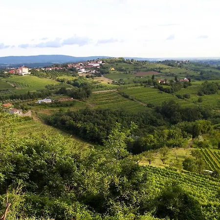 Boutique Dvor Gostinjska kuća Dobrovo