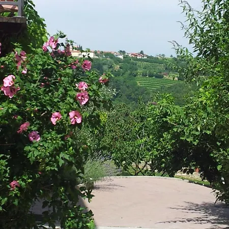 Boutique Dvor Gostinjska kuća Dobrovo