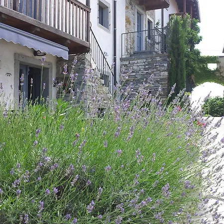 Boutique Dvor 4* Dobrovo