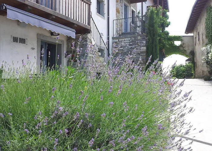 Boutique Dvor 4* Dobrovo