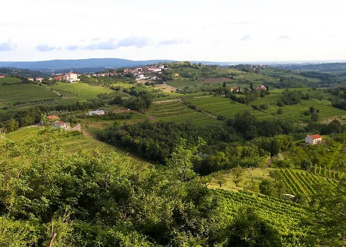 Boutique Dvor Gasthuis Dobrovo