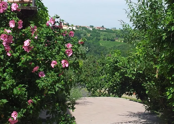 Boutique Dvor בית הארחה דוברובו